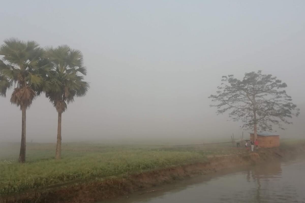 Embracing Fog Harvesting: A Sustainable Water Solution