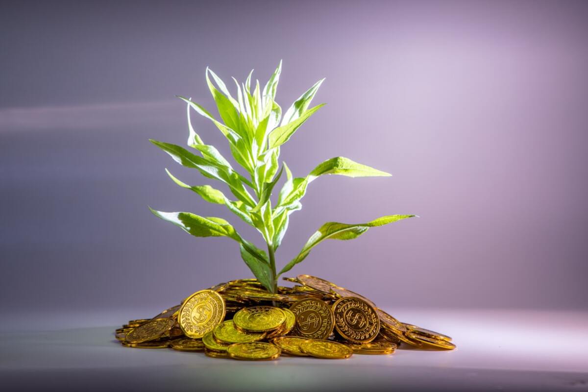 The Rise of Fintech Ecosystems: Revolutionizing Financial Services